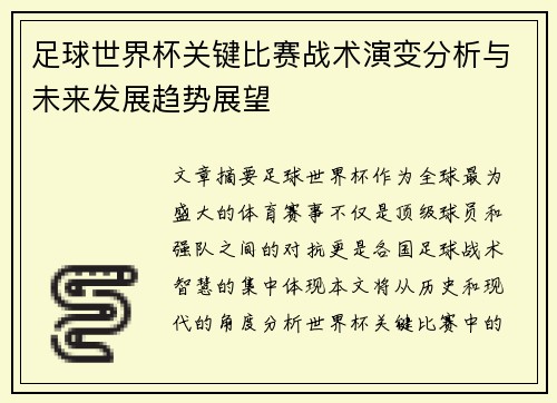 足球世界杯关键比赛战术演变分析与未来发展趋势展望