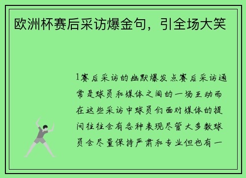 欧洲杯赛后采访爆金句，引全场大笑
